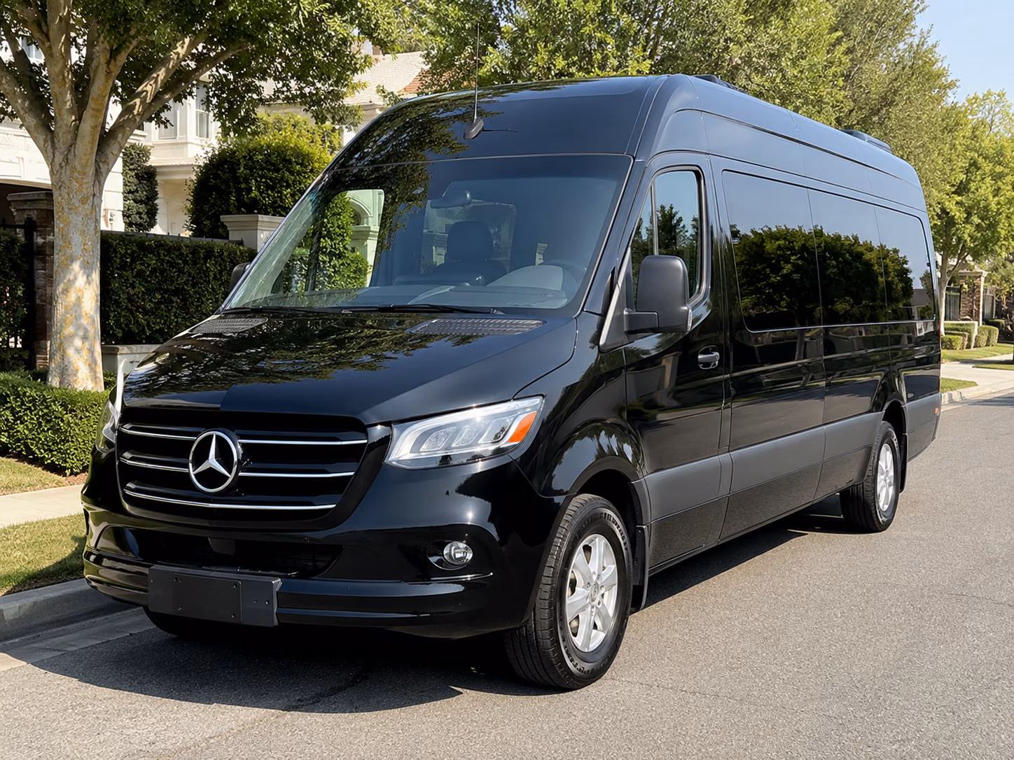 corpus christi 12 passenger sprinter van