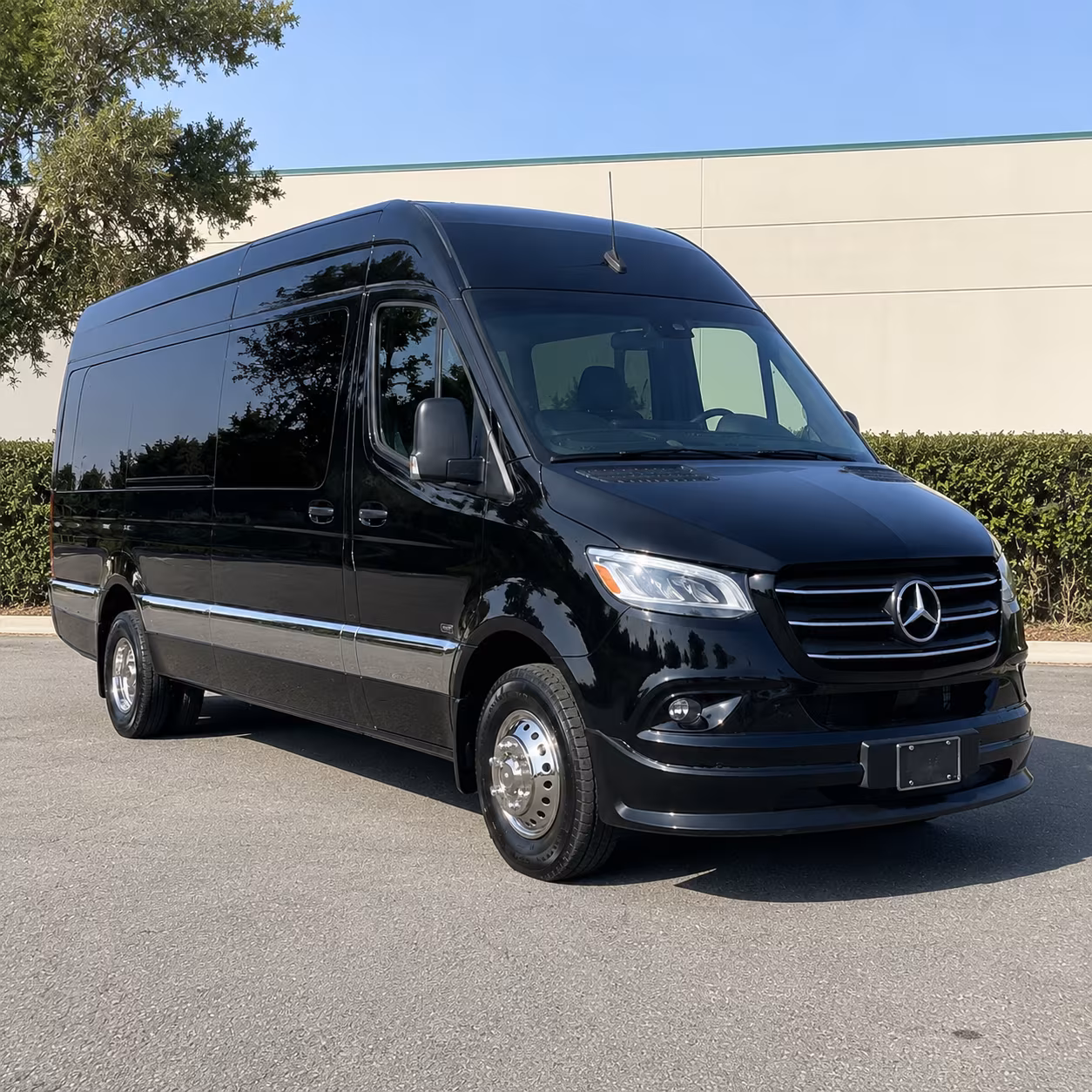corpus christi 15 passenger sprinter van